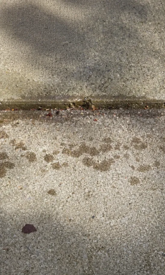 Concrete Raise